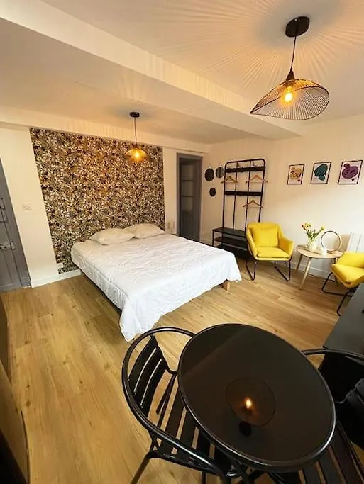 Apartment Studio Flowers - Metro - Wifi Toulouse