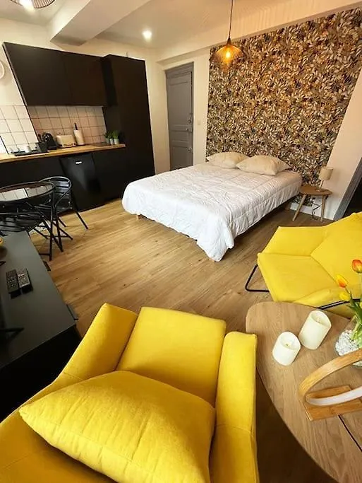 Studio Flowers - Metro - Wifi Toulouse 0*,  France