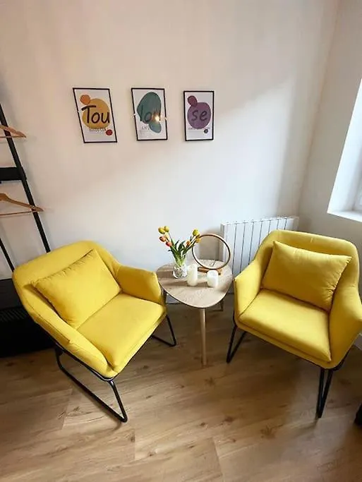Studio Flowers - Metro - Wifi Toulouse Apartment